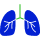 Médecine interne-icon